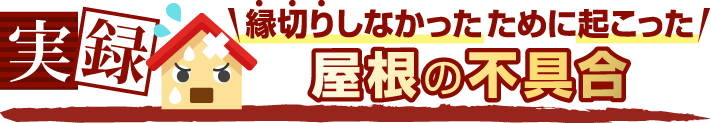 縁切りしなかったために起こった屋根の不具合