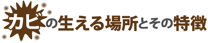 カビの生える場所とその特徴