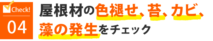 屋根材の色褪せ、苔、カビ、藻の発生をチェック