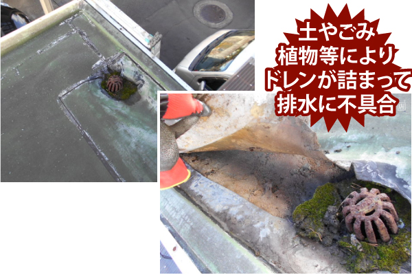 土やごみ植物等によりドレンが詰まって排水に不具合