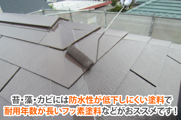 苔・藻・カビには防水性が低下しにくい塗料で 耐用年数が長いフッ素塗料などがおススメです