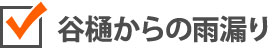 谷樋からの雨漏り