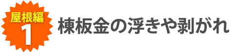 棟板金の浮きや剥がれ