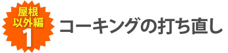 コーキングの打ち直し