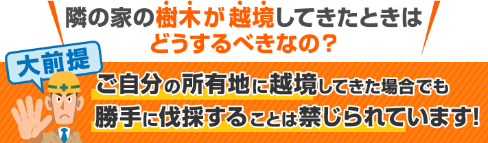 大前提として樹木が越境してきたとしても勝手に伐採することは禁じられています