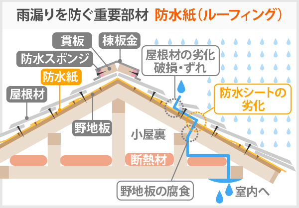 雨漏りを防ぐ重要部材防水紙（ルーフィング）