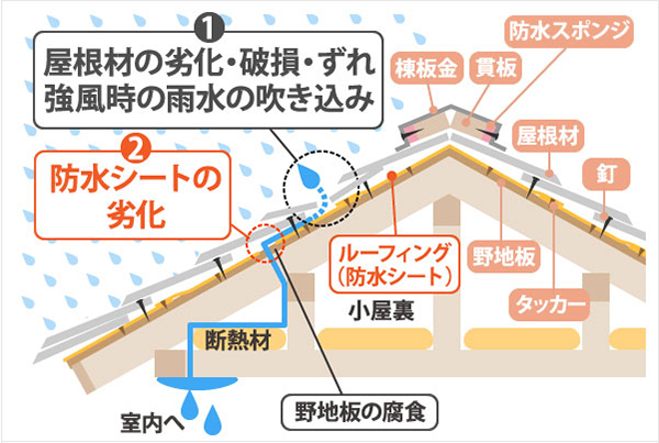 雨漏りの原因の図