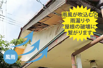 雨風が吹込むと雨漏りや屋根の破壊に繋がります